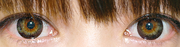 T.Top Plus Brown Brown  contacts 14.0mm /038, contacts 