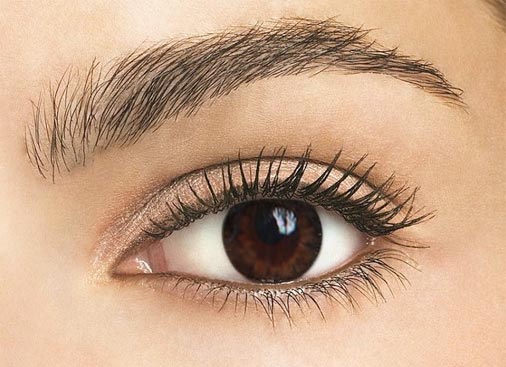 Circle Color Brown 