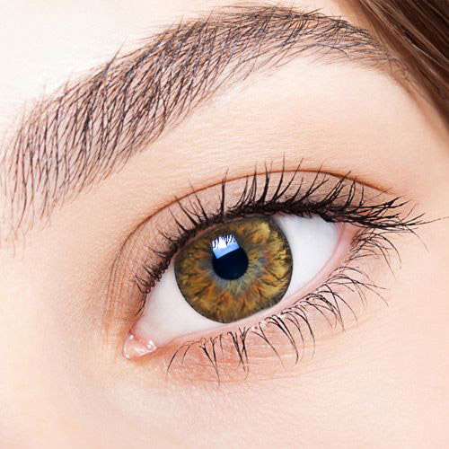 ICK Soony Brown / best colored contact lenses