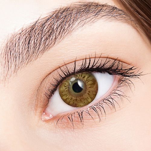 Bess (A133) BROWN / colored contact lenses for Hyperopia