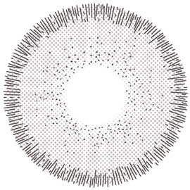 MUSE RT13 GRAY - colored contacts for dark eyes