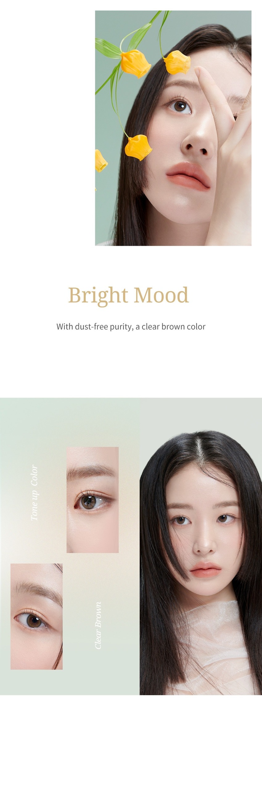 
QueenContacts 6-Month Vivid Brown Collection - Embrace Rich Hues