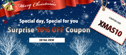 christmas coupon