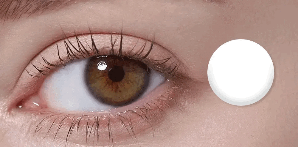 Immerse yourself in the stylish charm of Bittersweet colored contacts.