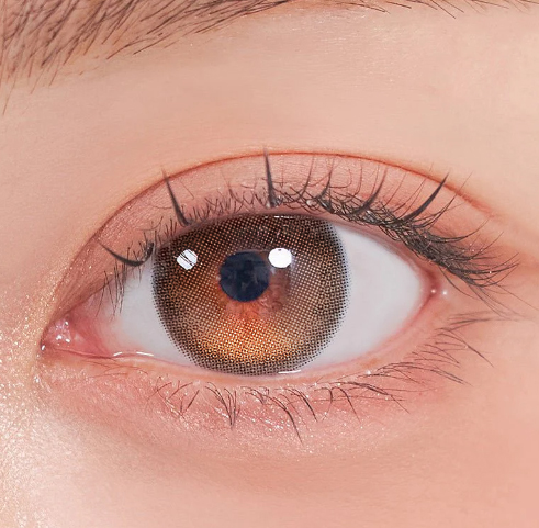  queenslens, queencontacts,olola,1day,brown,browncontacts,sns, colored contact lense