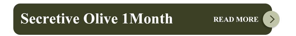 1day,1month,Secretive,olive,hapa kristin,