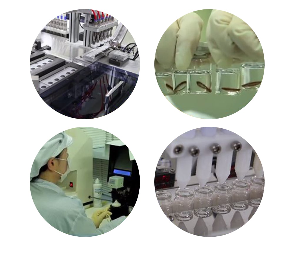 Queencontacts safety