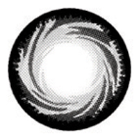 Paradise- グレー カラコン