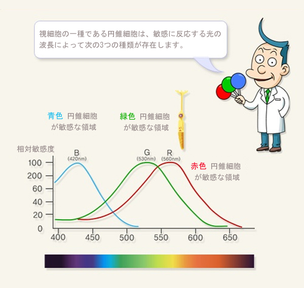 色弱コンタクト,色覚補正レンズ