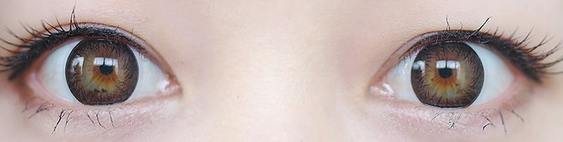 Catherine Choco (TR8) / Brown contact lenses