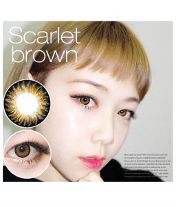 ブラウン /brown スカーレット/Scarlet brown /14mm/984