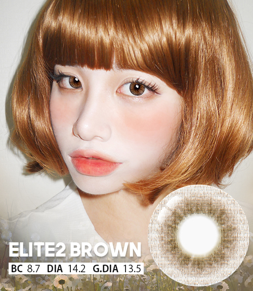 【UVカット・最高品質】INNOVISION Elite II 3-tone Brown / 1681